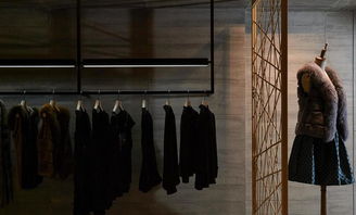 個性化百點精品服飾設(shè)計的裝修效果圖與服裝設(shè)計融合創(chuàng)新