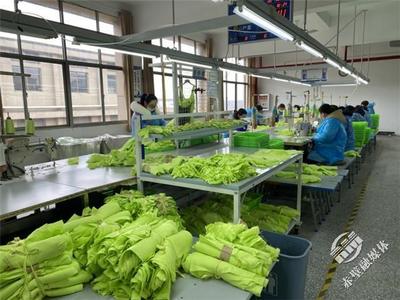 新春新氣象，赤壁服裝企業設計先行，全力沖刺“開門紅”